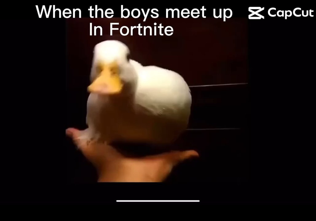 DUCK!!!