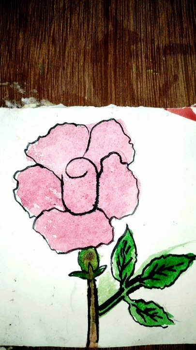 How to draw Rose
