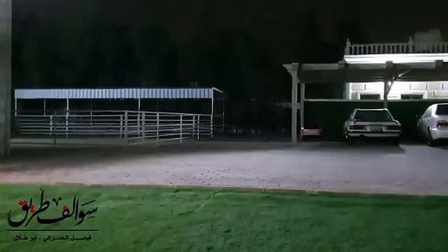 1661 - قصة حبة الكمون !! سوالف طريق