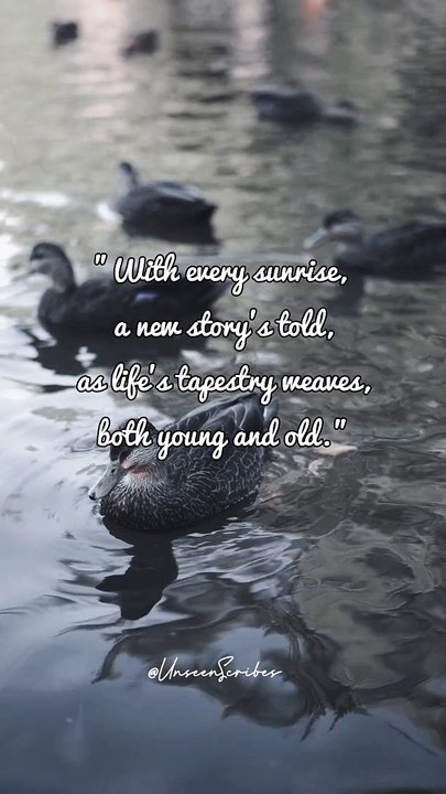 Embrace Life's Everlasting Tale: Unlocking New Stories With Every Sunrise