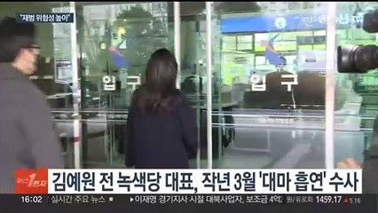 '대마흡연' 김예원 전 녹색당 대표, 1심징역형 집유