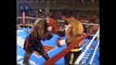 Roberto Duran vs Iran Barkley HD - boxing - WBC world middleweight title