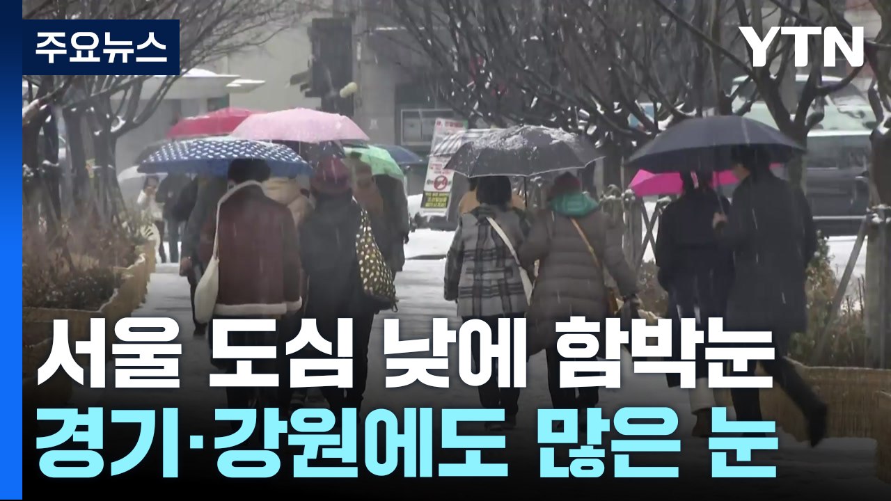 서울 도심 낮에 함박눈...이 시각 광화문 / YTN