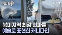 [세상만사] 북미지역 최강 한파를 예술로 표현한 캐나다인 / YTN