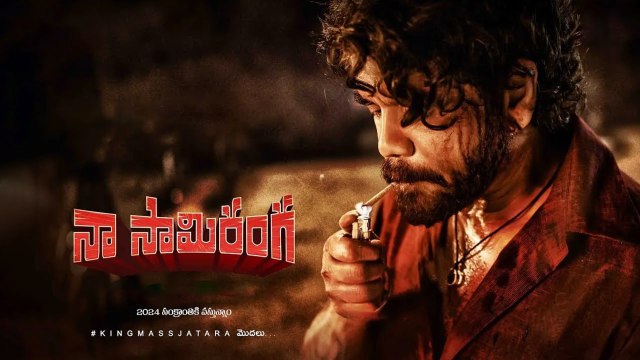 Naa Saami Ranga Collections భారీ వసూళ్లు.. ఎన్ని కోట్లు వచ్చాయంటే | Telugu Filmibeat