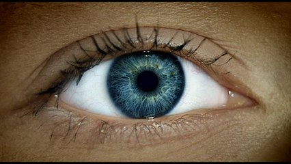 Fattore umano, AI: le sfide della cybersecurity secondo Sharp