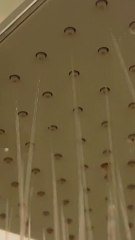 ECTLS - Hygiène corporelle : doit-on se laver tous les jours ?