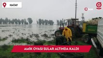 Hatay’da aşırı yağışlarla birlikte Amik Ovası sular altında kaldı