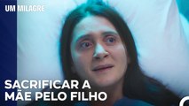 Mais Um Problema Para A Mãe Em Apuros - Um Milagre Episódio 38