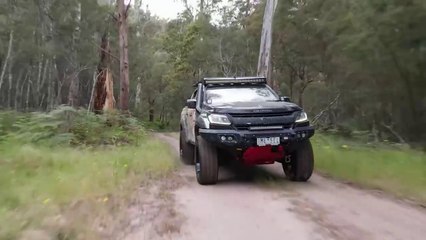Epic Deer Hunting Adventure From Our Complete Bush Crafted Treehouse - Catch & Cook In The Wild