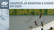Santa Catarina reforça medidas contra dengue