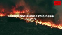 Le risque d'incendies de forets augmente