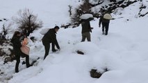 Yaban hayvanları için doğaya yem bıraktılar