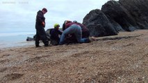 Volunteers helping to release the ring from around the seals neck - Natalie Arrow BDMLR