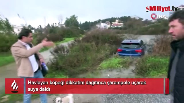 Önce kimse nasıl olduğunu anlamadı! Havlaması yetti, araç suya gömüldü