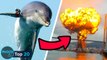 Top 20 Craziest Military Weapons That Actually EXIST