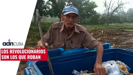 Los revolucionarios son los que roban