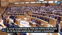 El CIS de Tezanos pone al PSOE dos puntos por delante del PP en plena rendición de Sánchez a Puigdemont