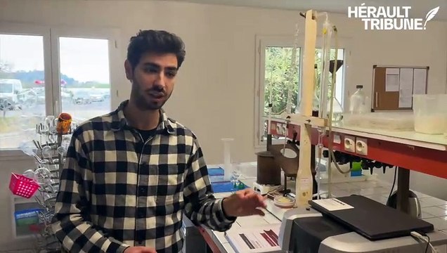 Pézenas : immuno-cytométrie, une nouvelle ère pour le suivi des levures dans le vin avec l’Institut Œnologique Sala