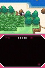 Pokémon Version Blanche online multiplayer - nds