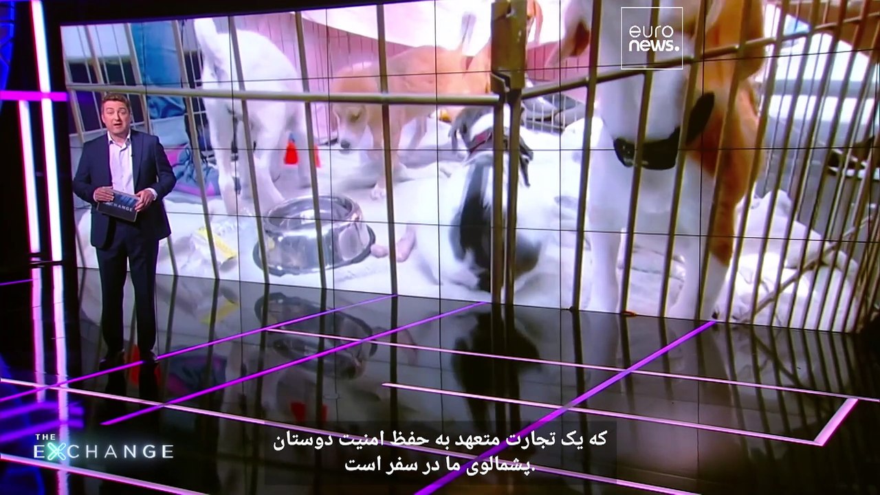 صنعت حیوانات خانگی با سرعت در حال رشد است