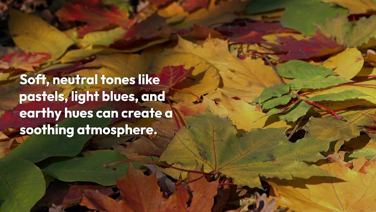 Brooklynn Chandler Willy | San Antonio, TX | Creating a Home Sanctuary