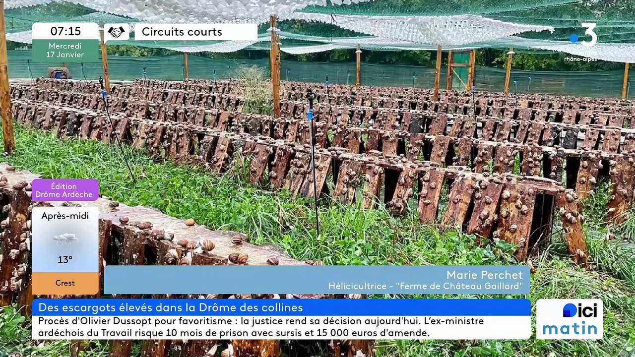 À Marches, La Ferme de Château Gaillard et ses escargots, nés, élevés et transformés dans la Drôme