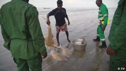 Joining forces to protect Guinea's Tristao Islands