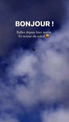 下载视频: Marie-Alix Jeanson (Familles nombreuses, la vie en XXL) partage l'après cyclone Belal à la Réunion.