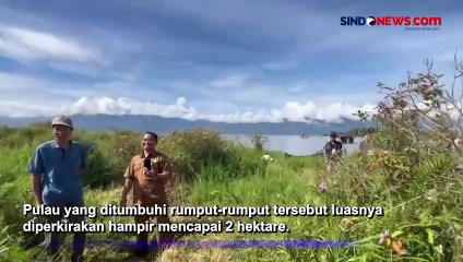 Penampakan 'Pulau Baru' yang Tiba-Tiba Muncul di Tengah Danau Kerinci
