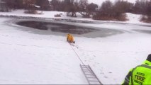 Usa: cane bloccato in uno specchio d'acqua ghiacciato, pompiere lo salva