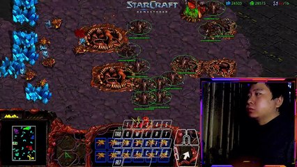 Starcraft 0401 2024 (6)