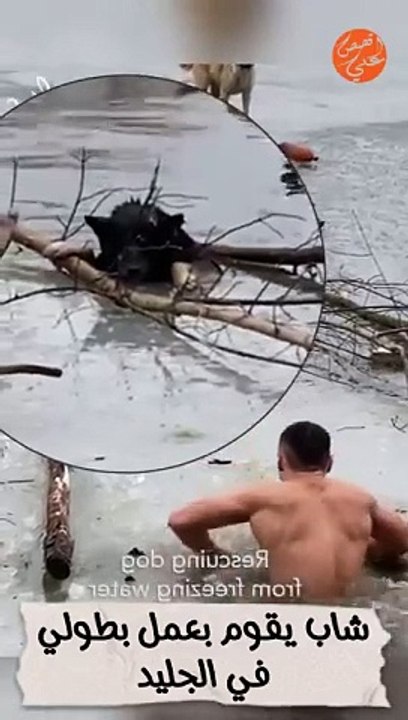 شاب يتحدى البرد والجليد لإنقاذ كلب مسكين(360P)