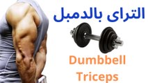 Effective Triceps Workouts That Will Make You Look Like a Hero