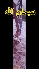 هل تريد ان يحقق امنيتك المنتظرة --✨---- _بدر_المشاري(360P)