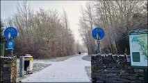 On a winter's day at Bay Road Park Nature Reserve in Derry