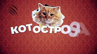 Котострофа - 6 серия