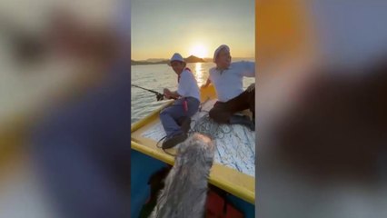 ext-juan-vainas-y-chibolo-regresan-en-septima-temporada-170124