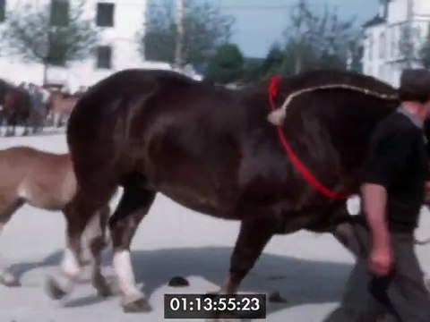 Roué Francis-Landivisiau-Concours agricole
