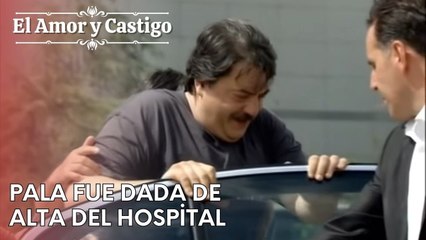 Pala fue dada de alta del hospital | Amor y Castigo - Capitulo 24