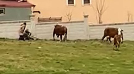 İlçe bu cesur kadını konuşuyor