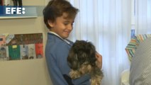 Cómo pueden los niños trasplantados convivir con sus mascotas