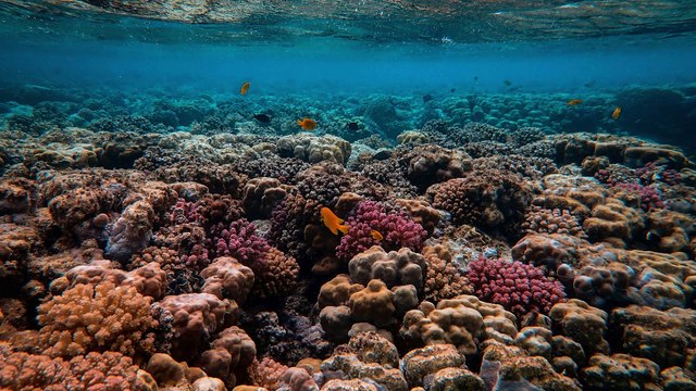 Lakshadweep: a tropical paradise in the Arabian Sea