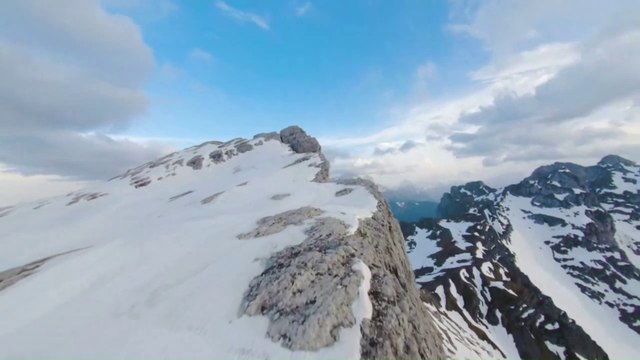 Tangerine Dream Snow On Angels Feather