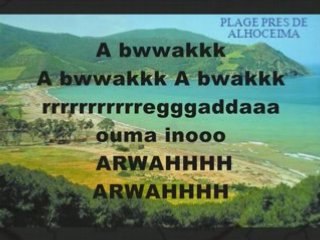 RIF    ALLAOUI  MIX  2008 UNE TUERIE