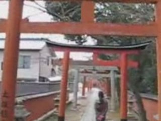 sakura yoshida-jinja japon