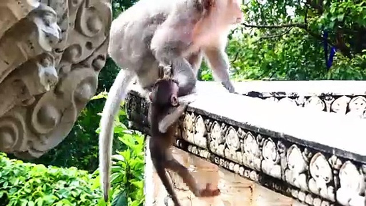 Poor Baby Bean Holds Mother Barry When Rapidly Runs Out (720p_25fps_H264-192kbit_AAC)