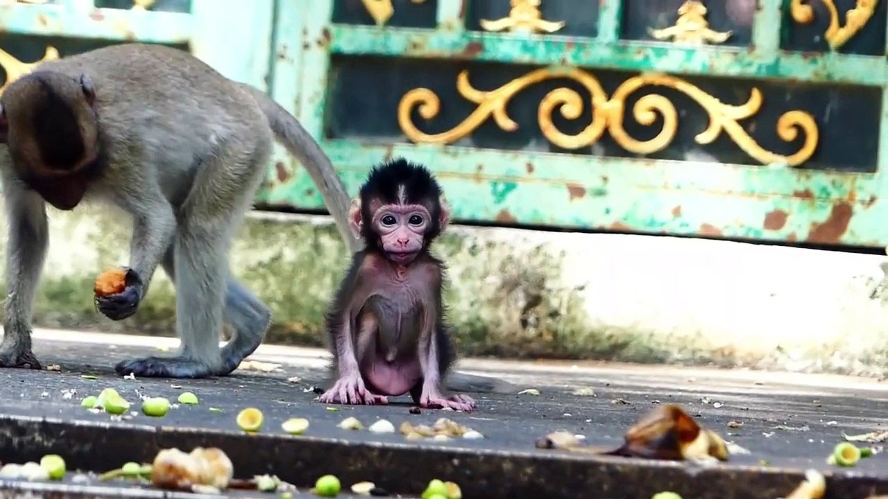Poor Baby Is Finding For Her Mother (720p_25fps_H264-192kbit_AAC)