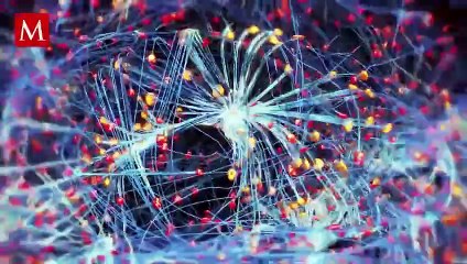 Método matemático estima la probabilidad de curar la depresión