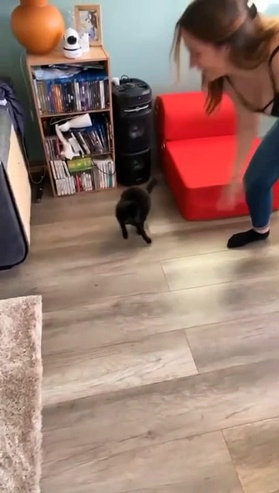Cats and new carpet